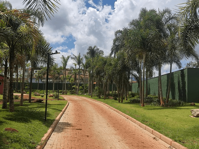 Comissão de Meio Ambiente visita novo parque inspirado em Inhotim 1 image 133