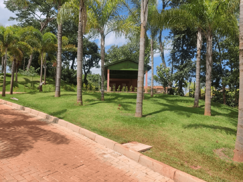 Comissão de Meio Ambiente visita novo parque inspirado em Inhotim 4 image 134
