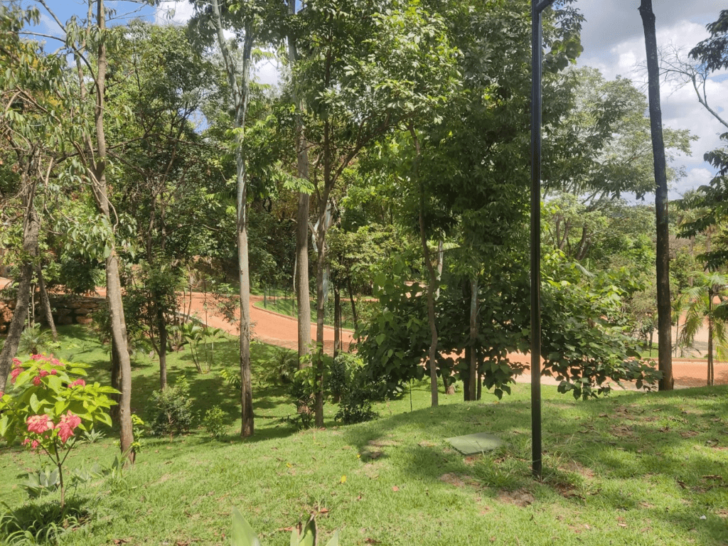 Comissão de Meio Ambiente visita novo parque inspirado em Inhotim 5 image 135