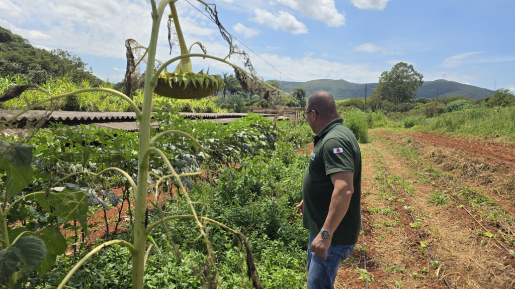 Projeto que cuida da ‘saúde do solo’ abrange 1,8 mil propriedades rurais de MG 1 image 114