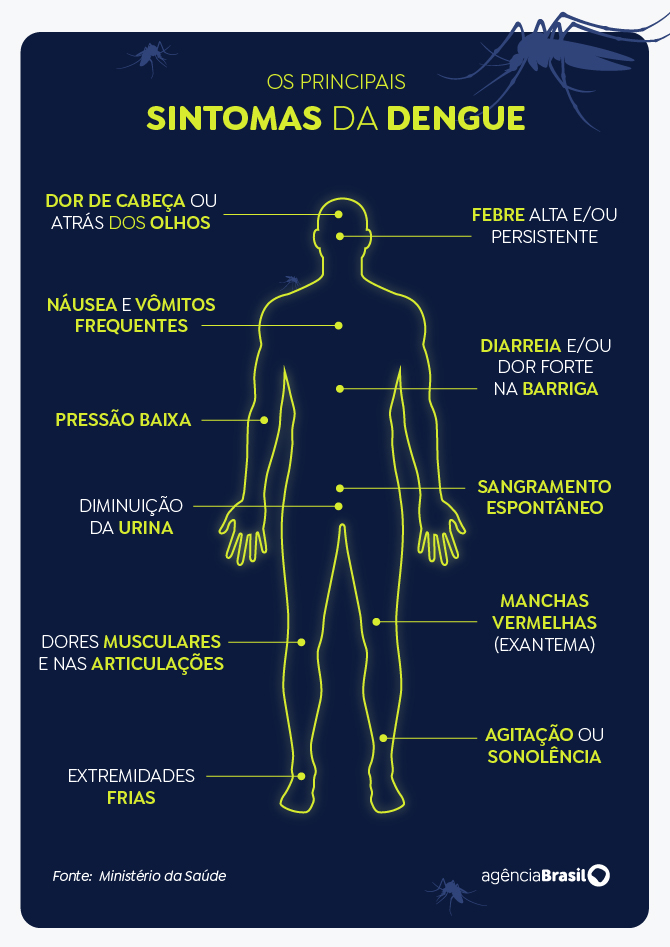Dengue: SP, MG e PR concentram 73% dos casos e 86% dos óbitos 3 image 71