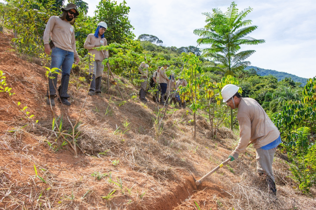 Samarco dá continuidade às ações ambientais na bacia do rio Doce e amplia áreas em restauro 1 image 140