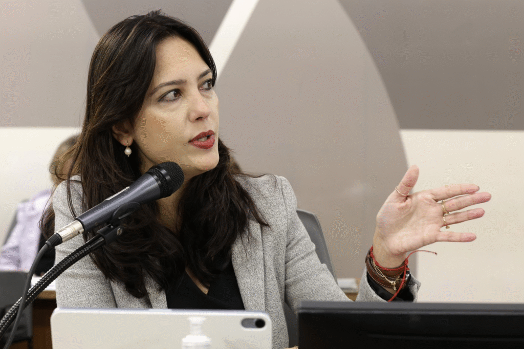 Deputados defendem desburocratização e ações descentralizadas para atrair investimentos 1 image 158