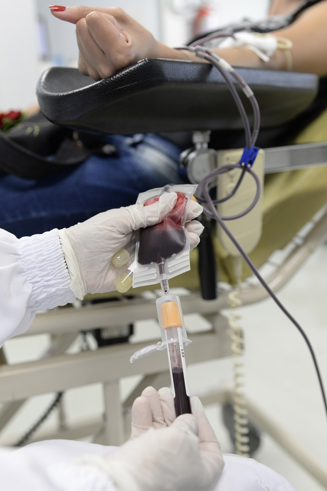 Dia do Doador de Sangue é lembrado com iluminação especial na ALMG 1 image 172