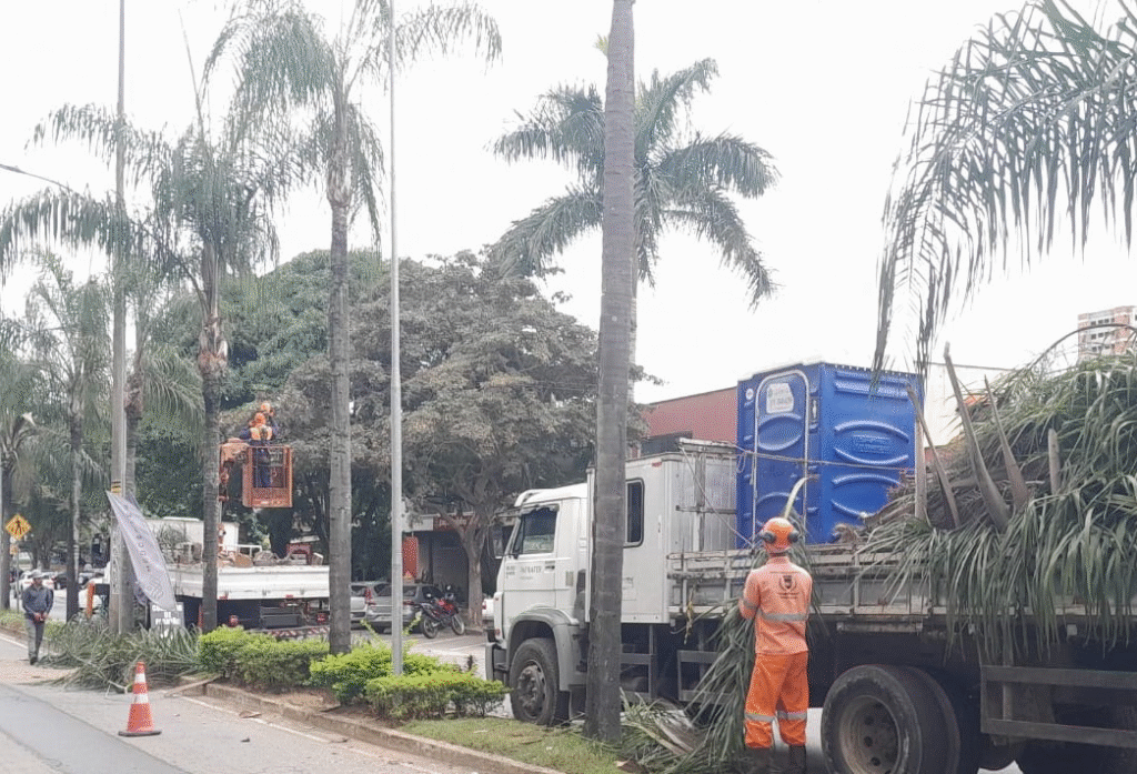 Força-tarefa de limpeza da Prefeitura avança e chega à Regional 2 de Ipatinga 1 image 254