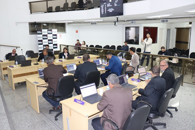Câmara Municipal aprova flexibilização do serviço de táxi em Manhuaçu 1 image 353