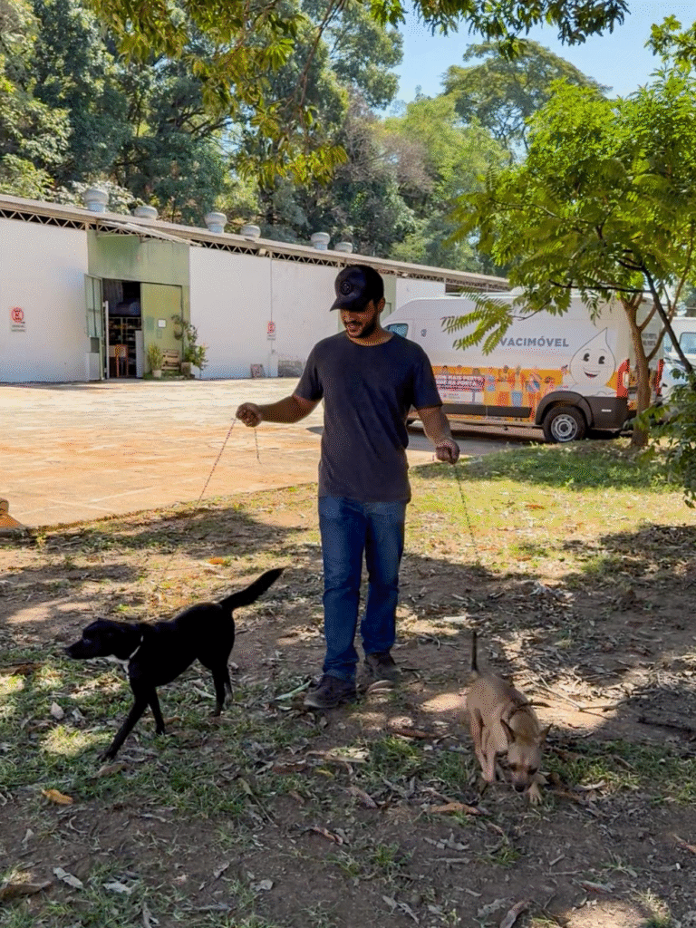 Prefeitura de Ipatinga convida voluntários para participar do projeto CÃO ROLÉ 2 image 354