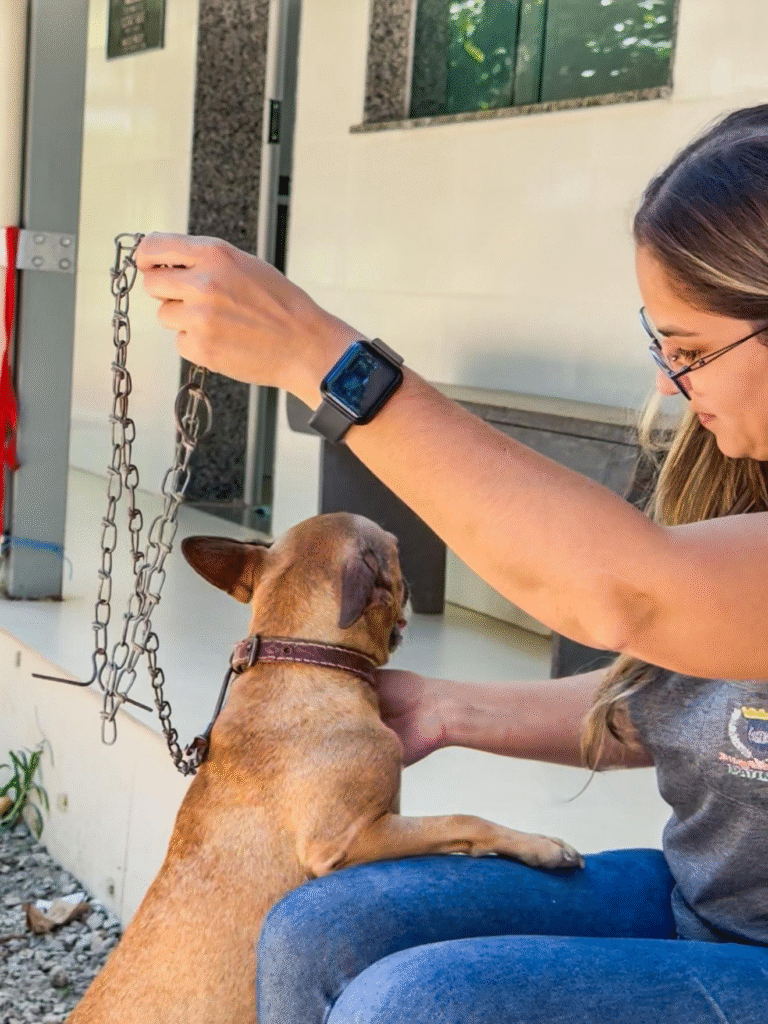 Prefeitura de Ipatinga convida voluntários para participar do projeto CÃO ROLÉ 1 image 355